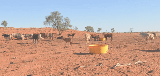 $8 million grants available for innovative drought resilience projects